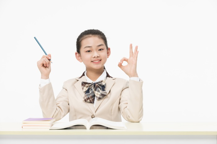 在線(xiàn)一對(duì)一輔導(dǎo)課程